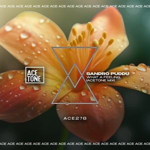 What a Feeling (Acetone Mix)