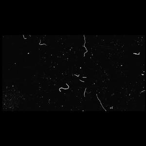 UNDER STRESS (Explicit)