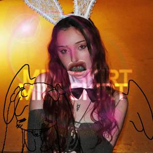 Mini Skirt (Explicit)