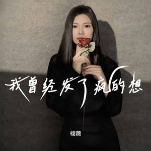 我曾经发了疯的想