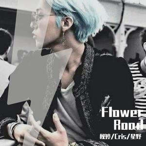 BigBang-Flower Road（花路）