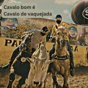 Cavalo bom é Cavalo de Vaquejada