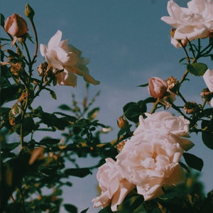 BESTFRIEND! (Explicit)