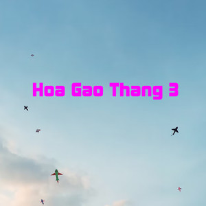 Hoa Gao Thang 3