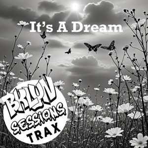 It's A Dream (Bklyn Mix)
