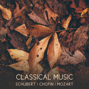 Classical Music: Schubert, Chopin, Mozart – Best Classical Melodies, Piano Relaxation