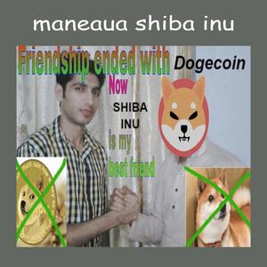 Maneaua SHIBA INU(feat. Adi din Galati)