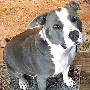 24/7 (365) (Explicit)