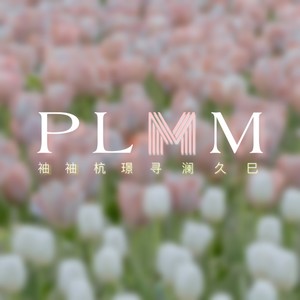 PLMM