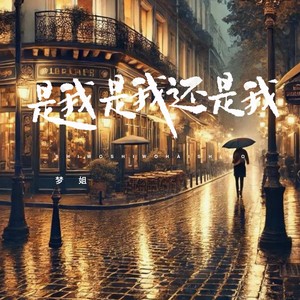 是我是我还是我