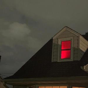 Elephant in the Room (Explicit)