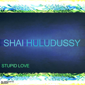 Stupid Love (Explicit)