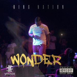 Wonder (Explicit)