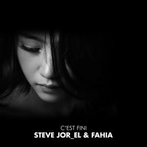C'est Fini (Single)