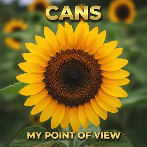 My Point of View (feat. Cans) (Explicit)