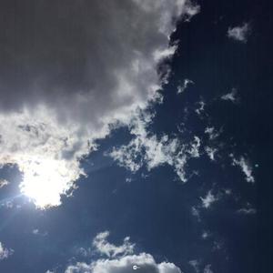 I'm sorry I cannot see you today