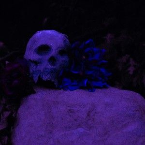 The 812 Cypher(feat. Zerques, Sage Stone, CROPTOP, its kobi, ProdByYokai & Frenzy) (Explicit)