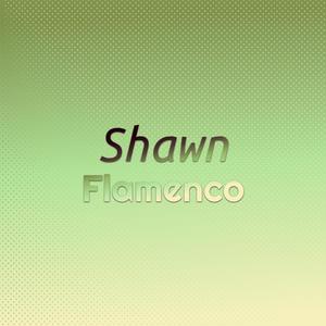 Shawn Flamenco