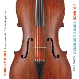 Sonata for Viola da Gamba and Harpsichord No. 2 in D Major, BWV 1028 - II. Allegro