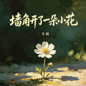 墙角开了一朵小花（朵朵）