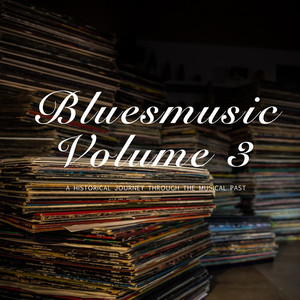 Bluesmusic, Vol. 3