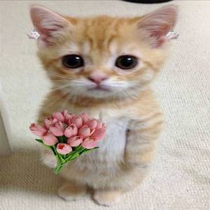 เพลงนี้มีแต่กัส (Explicit)