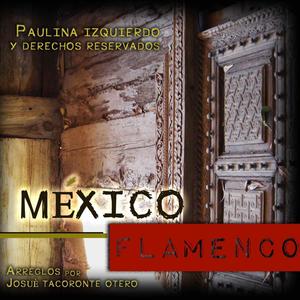 Mexico Flamenco