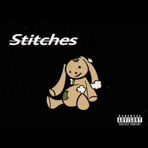 Stitches (Explicit)