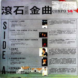 Secret Land (黑胶版)