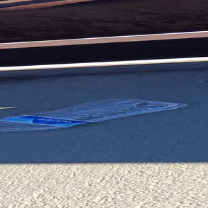 Disappear (feat. Krizz Kalico) (Explicit)