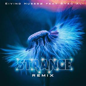 Strange (feat. Syed Ali)