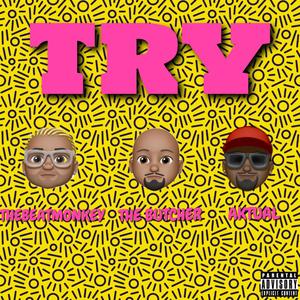 TRY (Explicit)