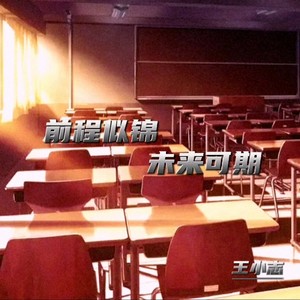 前程似锦 未来可期