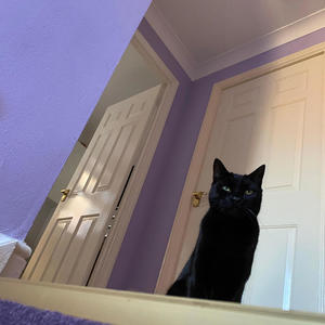 EXTRA HIGH (Explicit)