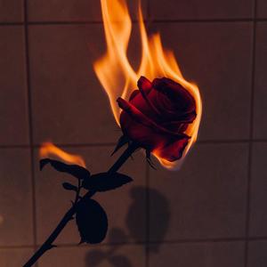 No Way Home (feat. Lil Zaiah) (Elvix Oliver Remix)