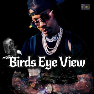 Birds Eye View (Explicit)