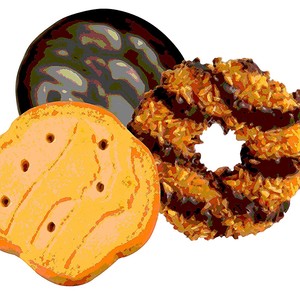 Communist Lesbian Girl Scout Cookies