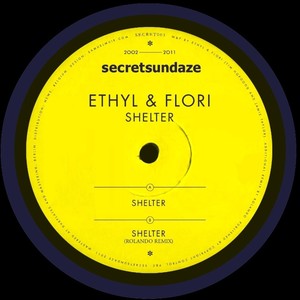 Shelter (Rolando Remix)