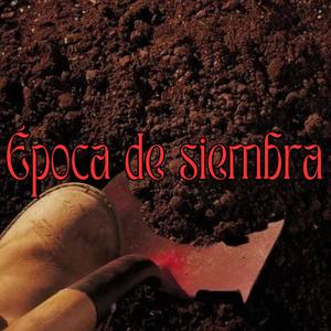 Epoca de siembra