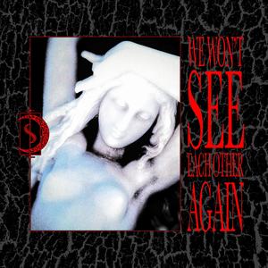 We Won't See Each Other Again