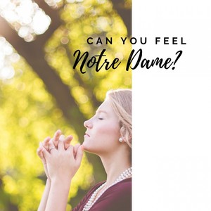 Can You Feel Notre-Dame ?