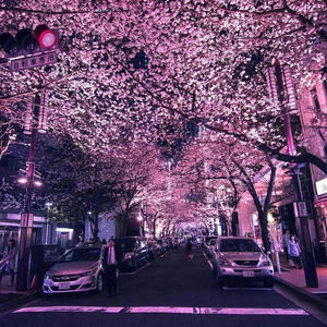 i8 V5 (feat. Traitnfn) (Explicit)