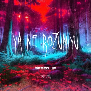 Я Не Розумію (Speed Up)