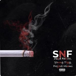 SnF (feat. KING TIGG) [Explicit]