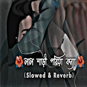 লাল শাড়ী পরিয়া কন্যা (slowed + reverb)