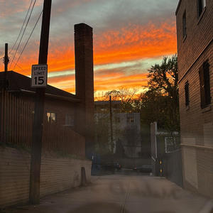 Lost my dawgs (feat. Boofman) (Explicit)