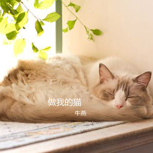 做我的猫 (伴奏)