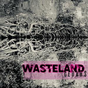 Wasteland