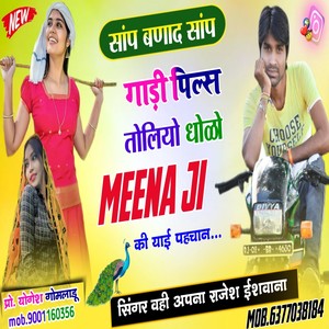Gadi plus toliya dholo Meena ji ki pahchan (Meenawati)