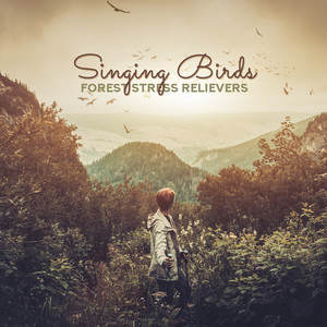 Singing Birds: Forest Stress Relievers